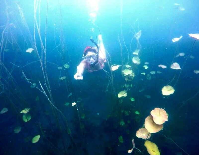 Bacalar: Magnificent Bacalar Lagoon Exclusive Boat Tour - Rivers and “secret” routes: Lol ha and the secret river