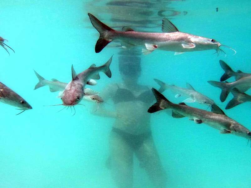Bacalar: Magnificent Bacalar Lagoon Exclusive Boat Tour - Price and value: is $127 per person a good deal here?