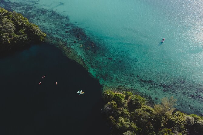 Bacalar Sunrise Stand Up Paddleboard Tour with Breakfast & Photos - Sunrise SUP on the Lagoon of Seven Colors, what you are really signing up for