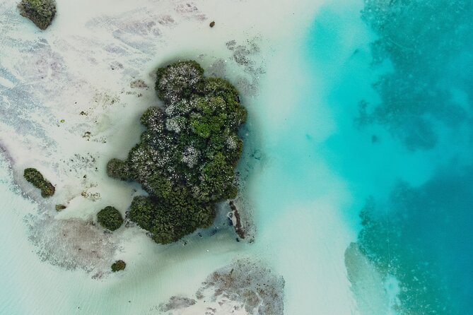 Bacalar Sunrise Stand Up Paddleboard Tour with Breakfast & Photos - What is included, and the small details that make a difference