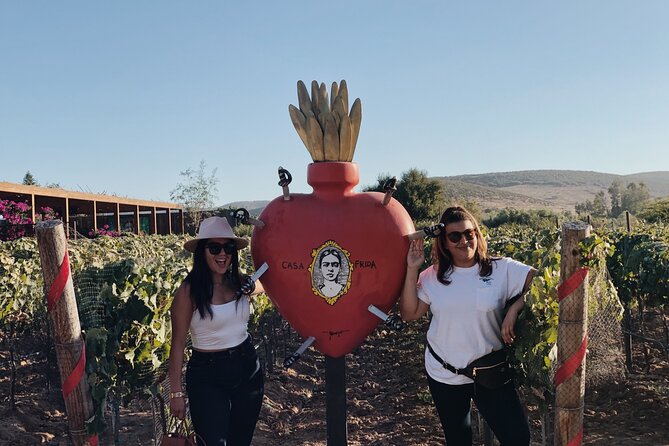 Baja Tour Guide wine tour - Valle de Guadalupe From Tijuana, Without the Headache