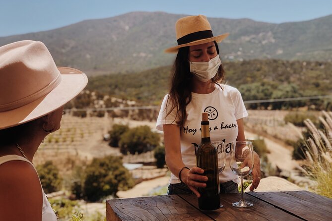 Baja Tour Guide wine tour - Stop 2 in Baja California: The Drive Time That Keeps You Sane