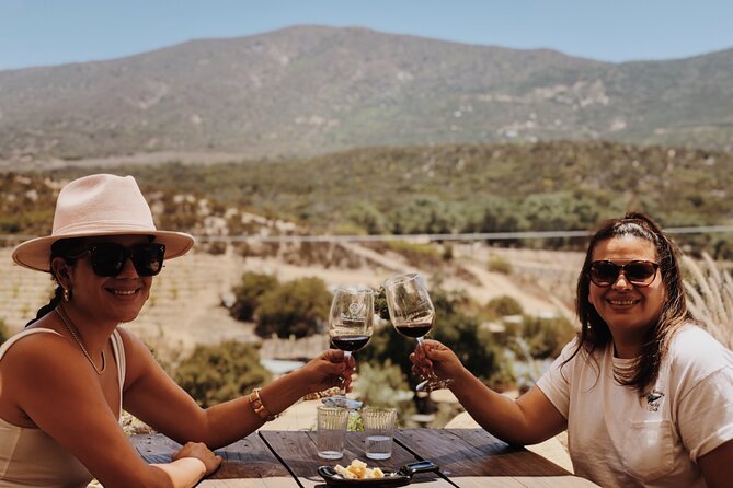 Baja Tour Guide wine tour - Private Service That Feels Like VIP Access