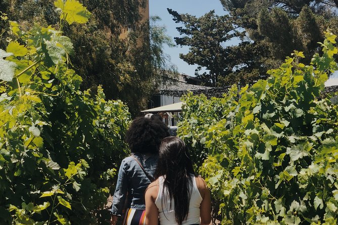 Baja Tour Guide wine tour - Language and Comfort: English Guide, Mobile Ticket, Simple Check-In