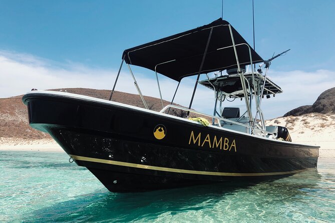 Balandra Private Boat Tour - Why Balandra Beach feels like the payoff