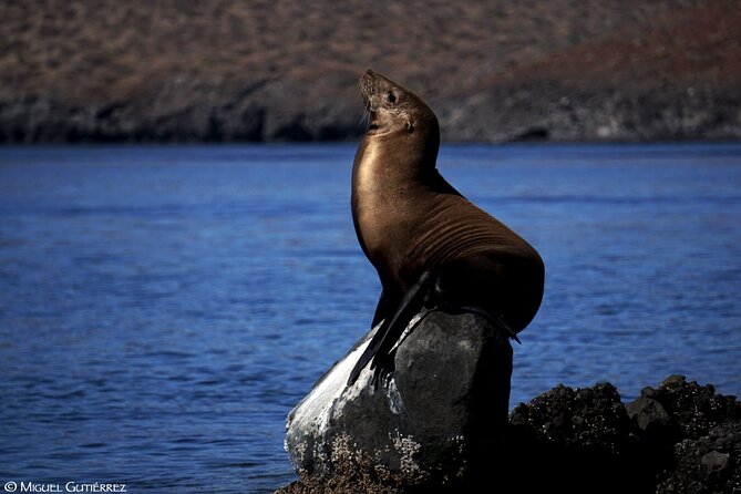 Balandra Private Boat Tour - How the 5-hour plan keeps the day from feeling rushed