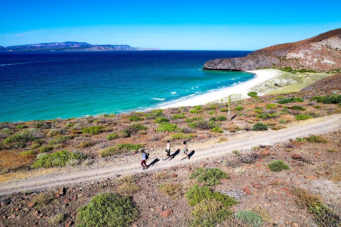 Balandra & Tecolote: hike, kayak and snorkel in paradise - Snorkeling the rocky reef: gear is included, water conditions are not