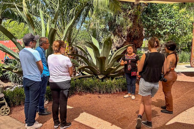 Balloon Flight with Teotihuacan & Guadalupe Shrine Full day Tour - Obsidian workshop and tequila tasting: culture and the shop stop