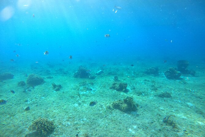 Bavarian Fiesta Snorkel Activity in Glass Bottom Boat at San Miguel de Cozumel - First Impressions: Meeting Point, Boat Setup, and the Small-Group Advantage