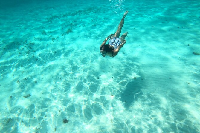 Bavarian Fiesta Snorkel Activity in Glass Bottom Boat at San Miguel de Cozumel - El Cielo and El Cielito: The Starfish Moment (and How to Handle It)