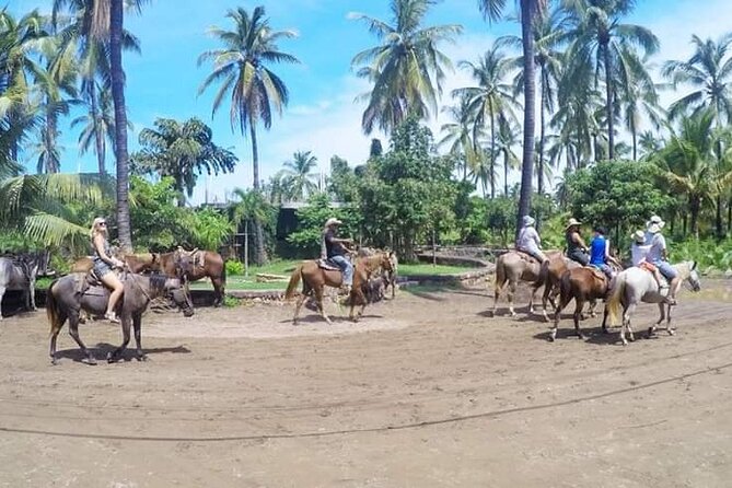 Beach Activities and All Inclusive Tour - Key highlights worth knowing