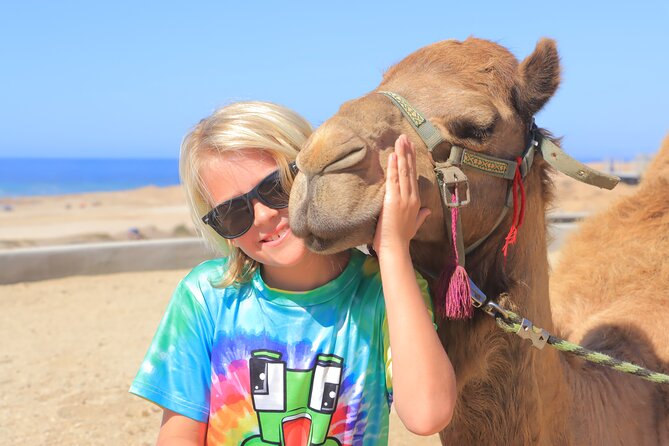 Beach Camel Ride and Encounter in Cabo - Quick Takeaways