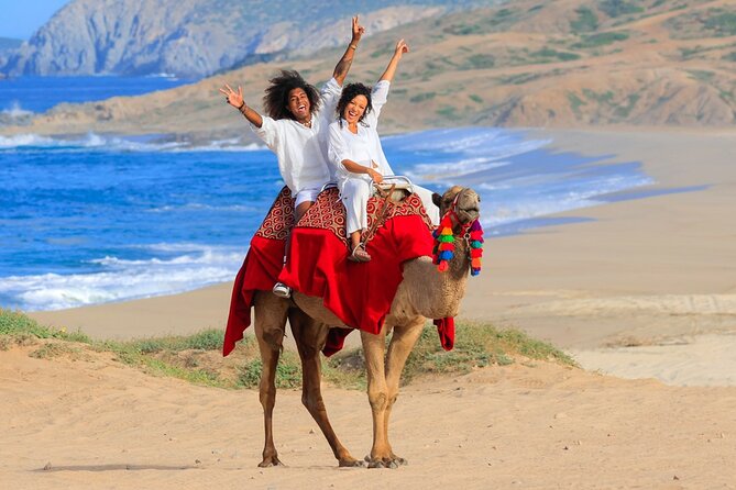 Beach Camel Ride and Encounter in Cabo - Pickup, Timing, and Why the Day Can Run Longer