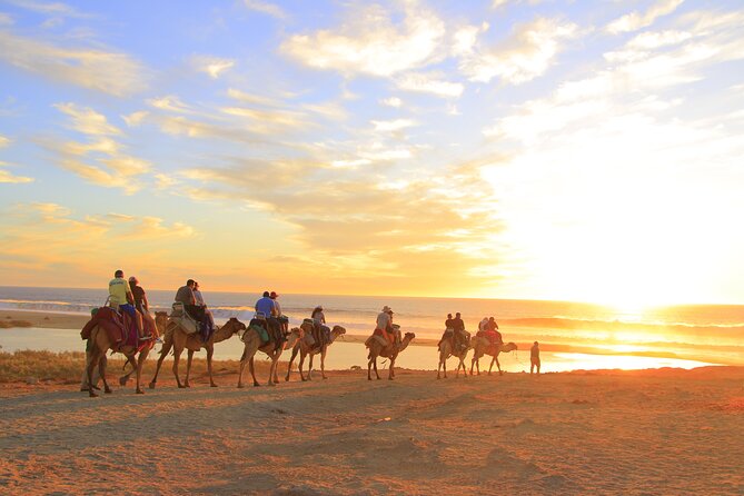 Beach Camel Ride and Encounter in Cabo - Photo Rules, Phone Lockers, and How to Get Memories Without Drama