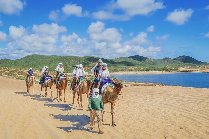 Beach Camel Ride and Encounter in Cabo - Who This Cabo Camel Ride Is Best For