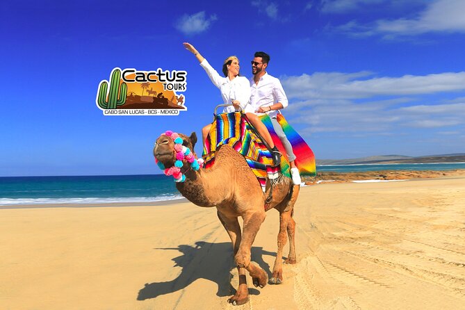 Beach Camel Ride and Encounter in Cabo - Price and What You Actually Pay in Cabo