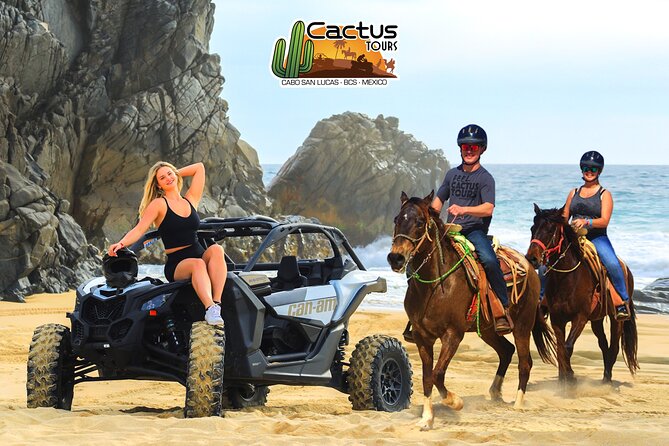 Beach Camel Ride and Sky Bike in Cabo - Whale season at Migriño and why winter changes the story