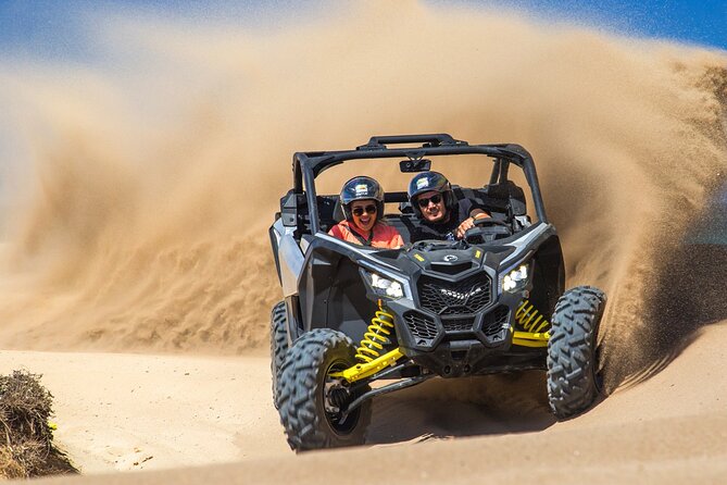 Beach Camel Ride and Sky Bike in Cabo - Cactus Park and the herpetarium: snakes, amphibians, and a quick science stop
