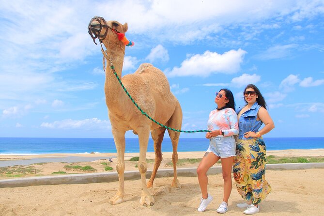 Beach CAN-AM SXS X3 and Camel Ride in Cabo - Buffet, tequila tasting, and the value of being fed