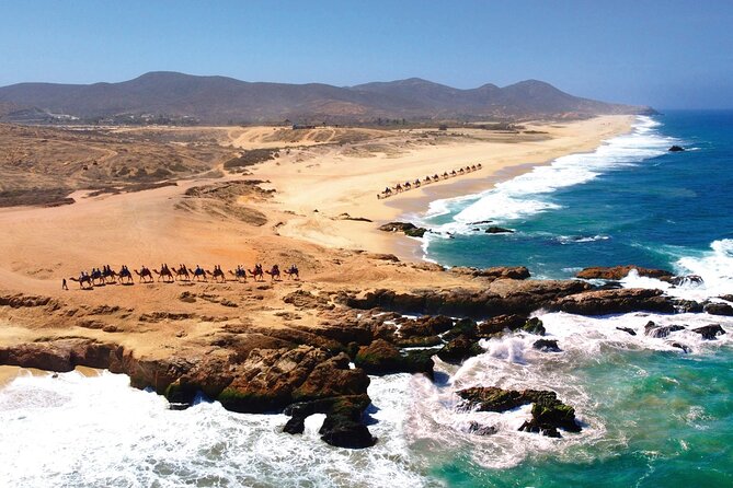 Beach CAN-AM SXS X3 and Camel Ride in Cabo - Price and extras: what $175 really buys you in Cabo