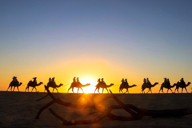 Beach CAN-AM SXS X3 and Camel Ride in Cabo - Migriño Beach stop: dunes, sunsets, and camel time
