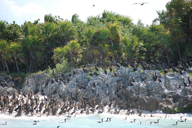 Beach Escape: Isla Contoy and Isla Mujeres with Snorkeling. - Isla Mujeres in 1 hour: shopping and a beach stroll, not a full day