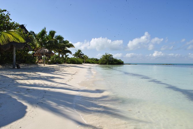 Beach Escape: Isla Contoy and Isla Mujeres with Snorkeling. - Flamingos stop and the light snack warm-up