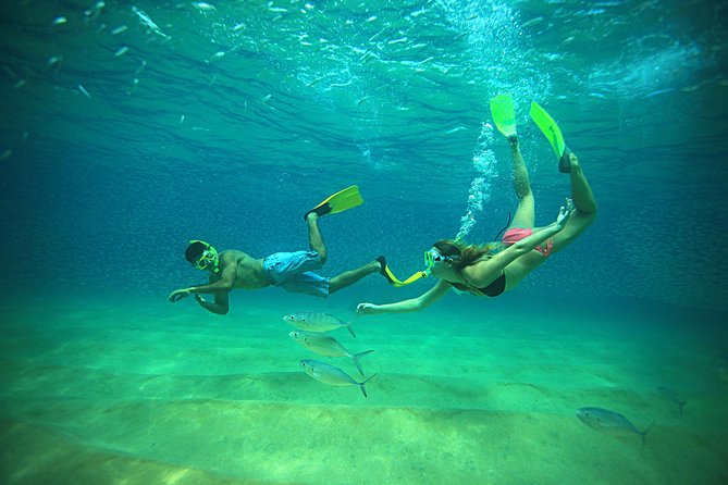 Beach Hopper Small-Group Snorkeling Tour in Los Cabos - Why This Cabo Beach Hopper Tour Works So Well