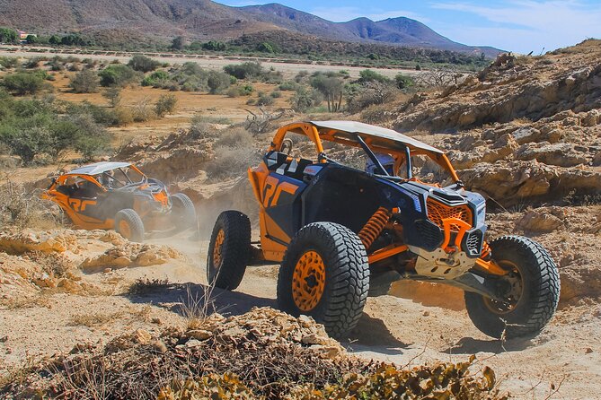Beach UTV and Camel Ride Combo in Cabo - Why the UTV plus camel combo actually makes sense in Cabo