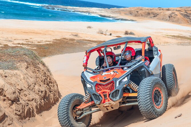 Beach UTV and Camel Ride Combo in Cabo - Camel encounter and Pacific coastline riding, calm time in a busy day