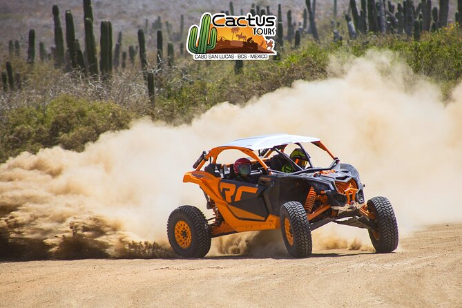 Beach UTV and Camel Ride Combo in Cabo - Should you book this Cabo UTV plus camel ride?