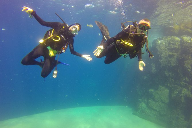 Beginner Scuba Diving in Cabo San Lucas - From check-in to calm buoyancy practice