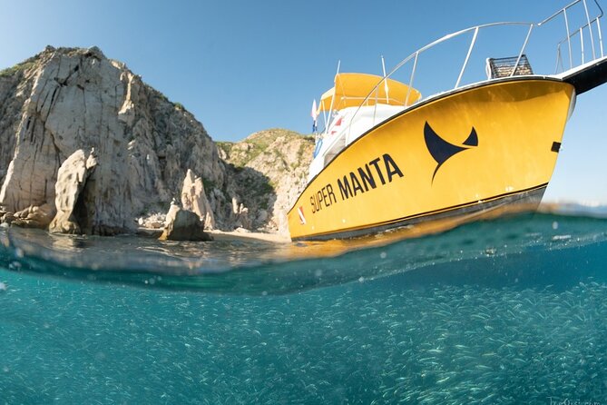 Beginner Scuba Diving in Cabo San Lucas - Group size and the short boat ride: comfort details that really matter