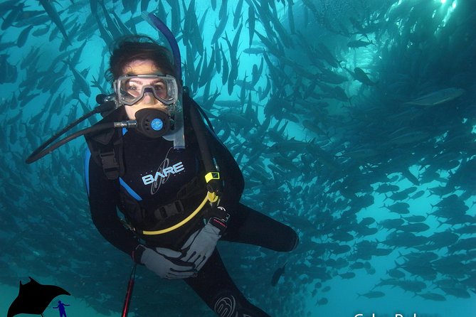 Beginner Scuba Diving in Cabo San Lucas - Water conditions, visibility, and what to bring