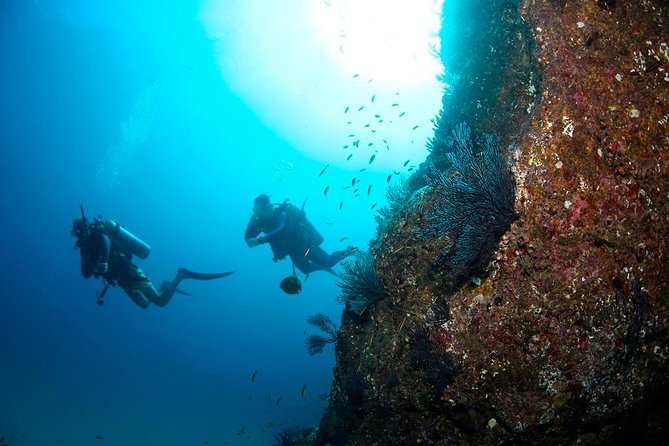 Beginner Scuba Diving in Cabo San Lucas - Stop 1: the Manta area and what you may see