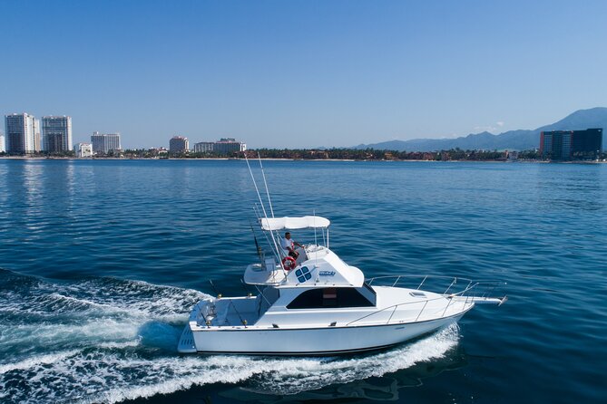 Bertram 38' Convertible Boat in Puerto & Nuevo Vallarta - The wildlife rock snorkeling stop: the money moment