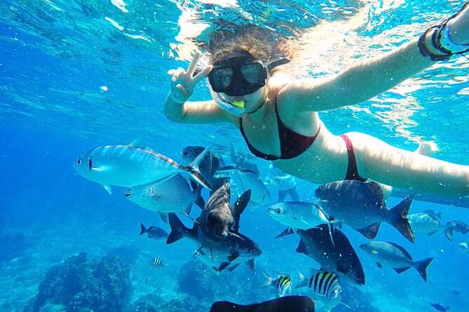Best Cozumel Day Pass San Francisco Beach Club - The Staff Factor: Friendly Service, and One Name That Pops Up