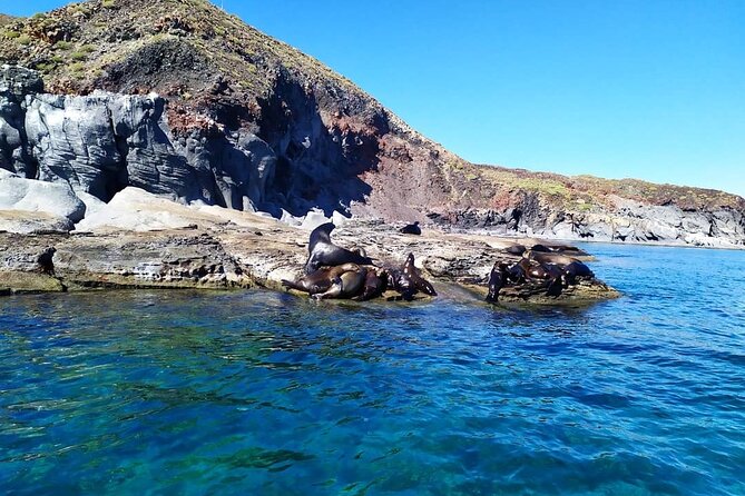 Best Tour to Coronados Island - Food, Drinks, and the Comfort Extras That Matter