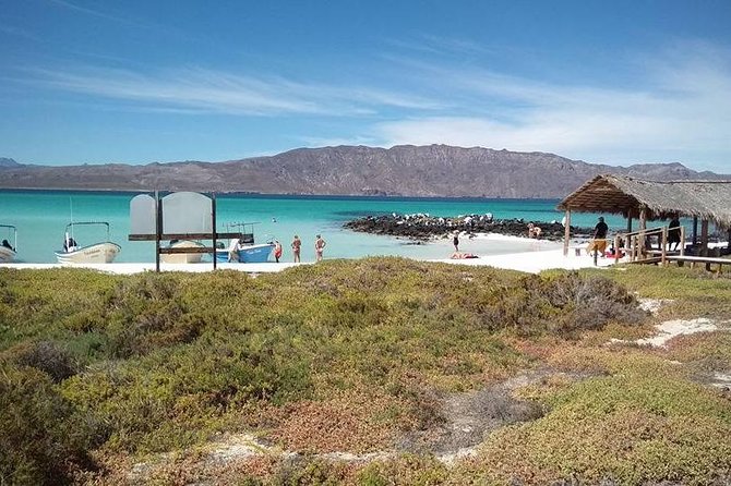 Best Tour to Coronados Island - Boat Ride Reality Check: Timing, Choppy Water, and Comfort