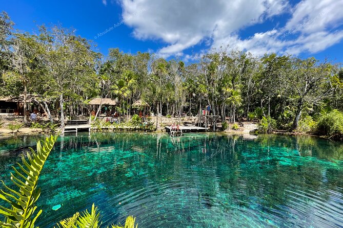 Bestseller! Tulum Private Tour with Turtles and Cenote Snorkeling - The Comfort and Safety Details That Matter in Real Life
