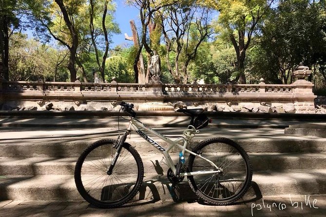 Bike Tour in Mexico City - Language and group style: English and private pacing