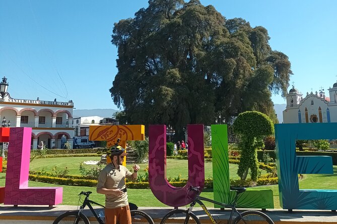 Bike tour to the Tule Tree and the Gastronomic Market - Key highlights you’ll care about
