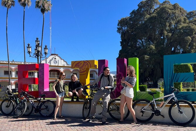 Bike tour to the Tule Tree and the Gastronomic Market - Bikes, helmets, and support: what you get before you pedal