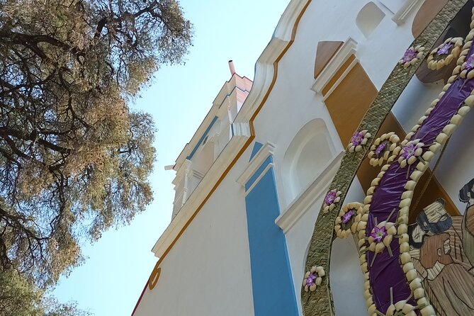 Bike tour to the Tule Tree and the Gastronomic Market - The town feel: agriculture, color, and a calmer pace