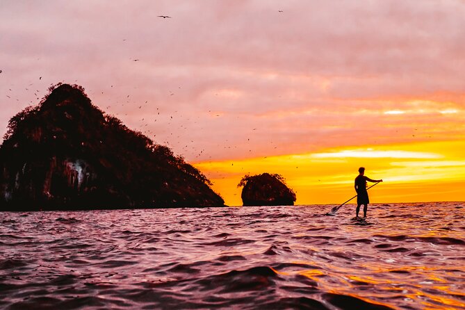 Bioluminescence by kayak or SUP to Los Arcos Puerto Vallarta - Paddling to Los Arcos: arches, birds, and dark-water practice