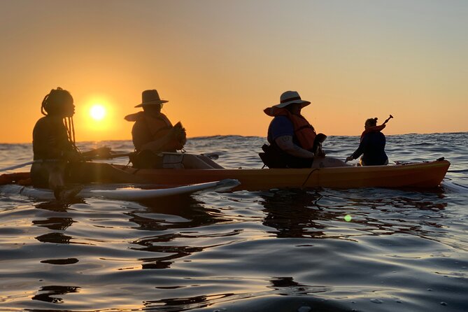 Bioluminescence by kayak or SUP to Los Arcos Puerto Vallarta - Meeting in downtown, then heading to the water