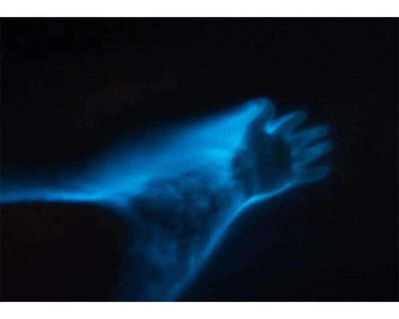BIOLUMINESCENCE IN PUERTO ESCONDIDO - Price and Value: What You Get for $57