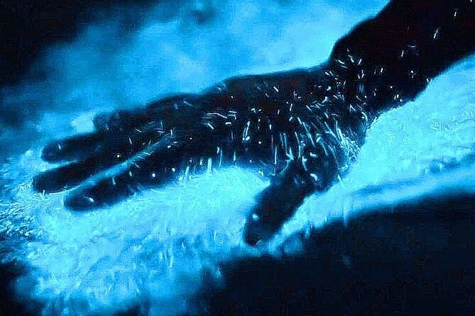 Bioluminescence & sunset local boat tour to Los Arcos Sanctuary - Key highlights you should know before you go