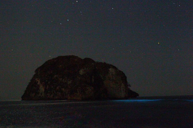 Bioluminescence & sunset local boat tour to Los Arcos Sanctuary - When it turns dark: how bioluminescence works (and how to make it show)