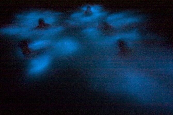 Bioluminescence & sunset local boat tour to Los Arcos Sanctuary - Swimming time, caves, and why the best glow is firsthand